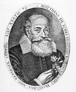 Matthias de l